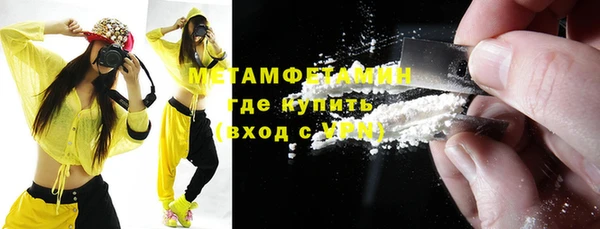 индика Осинники
