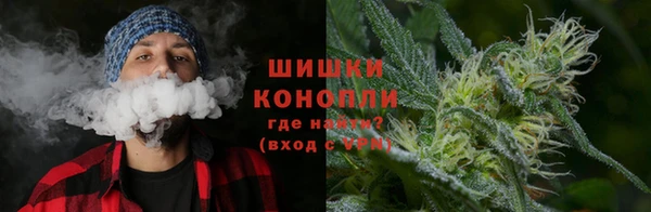 индика Осинники