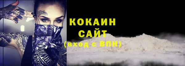стаф Аркадак