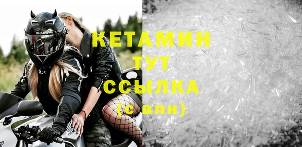 стаф Аркадак