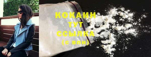 стаф Аркадак