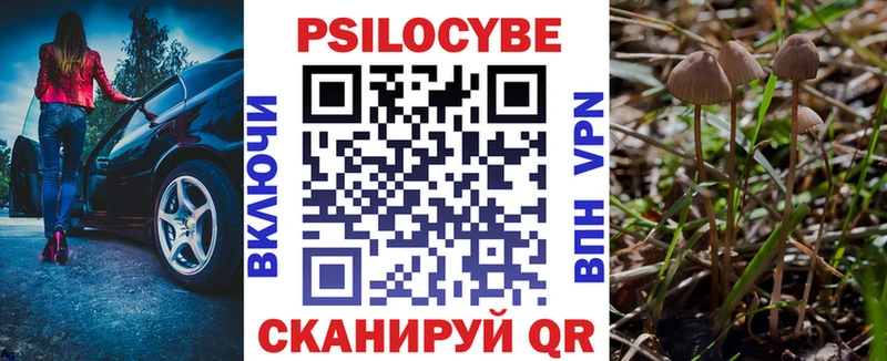Галлюциногенные грибы мицелий Байкальск